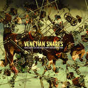Plunging Hornets by Venetian Snares