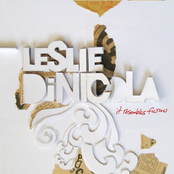 Leslie Dinicola: It Resembles Fiction