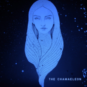 the chamaeleon