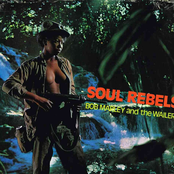 Rebel's Hop by Bob Marley & The Wailers