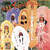 The Wild Tchoupitoulas: The Best Collection: The Wild Tchoupitoulas