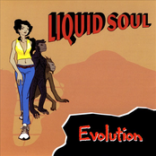 Liquid Soul: Evolution
