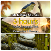 50 Nature Sounds: 3 Hours Relaxing Instrumental Music for Welness Spa & Massage