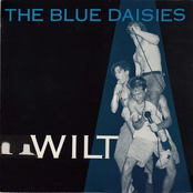 The Blue Daisies