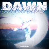 Dawn Chorus