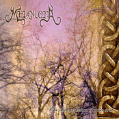 The Dark Reflections of Your Soul