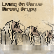 wirusy grypy ep