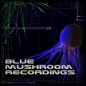 blue mushroom recordings