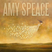 Amy Speace: Land Like A Bird