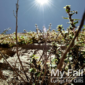 My Fall