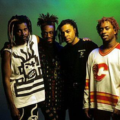 living colour