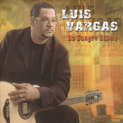 Ahora Me Desprecias by Luis Vargas