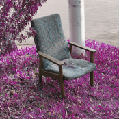 elephant in the room.