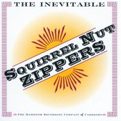 Club Limbo by Squirrel Nut Zippers