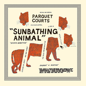 Sunbathing Animal by Parquet Courts