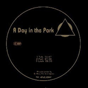 a day in the park