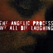 Bleedbeliever by The Angelic Process