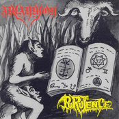 Purulence / Amaymon
