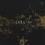 Sallie