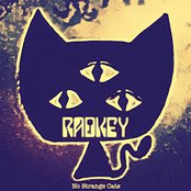 Radkey: No Strange Cats