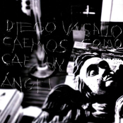 Caemos como cae un ángel