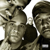 Sélection naturelle