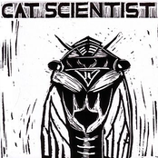 Cicada by Cat Scientist