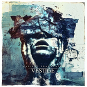 Vestige