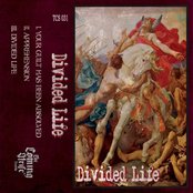 Divided Life Artwork