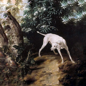 put me down like a sick dog