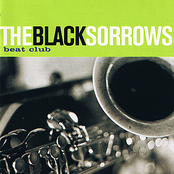 the very best of the black sorrows
