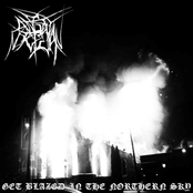 Get Blazed in the Northern Sky