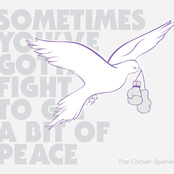 Sometimes You've Gotta Fight to Get a Bit of Peace