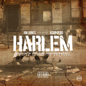 Harlem (feat. A$AP Ferg) - Single