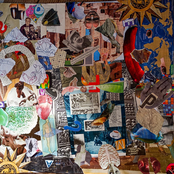 Protocolo de Acción Inmediata