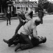 Russian Brutal Pop Rock