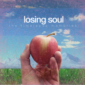 The Timelapse Memories