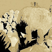 The Wizards spell book