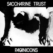 Community Lie by Saccharine Trust