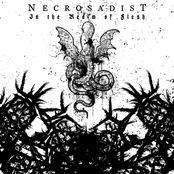 In the Realm of Flesh (Remixed, Remastered, Reissued)