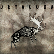 Deyacoda