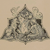 The Jungle Book 1894