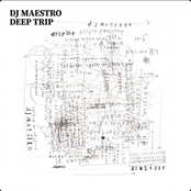 Deep Trip (Mixed by DJ Maestro)