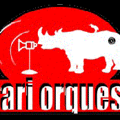 safari orquestra