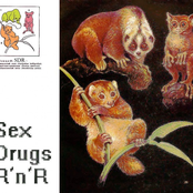 Sex Drugs Rock'n'roll