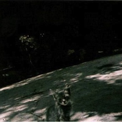 Subliminal Info Data