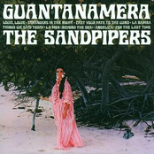 Strangers In The Night by The Sandpipers