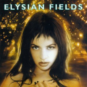 Anything You Like by Elysian Fields