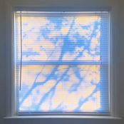 Six Years Of Relentless Grief