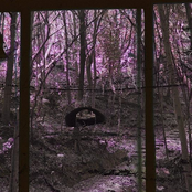 Valentine's Day Gift